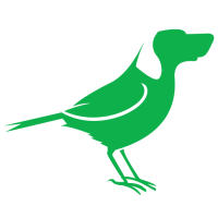 BirdDog