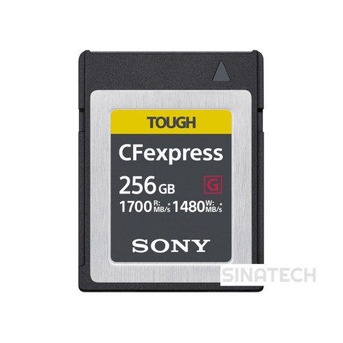 SONY CEB-G256