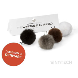 THE WINDBUBBLES UNITED 1