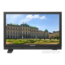 SONY LMD-A220