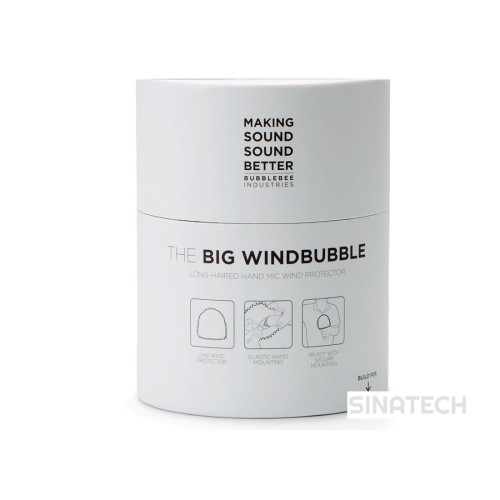 THE BIG WINDBUBBLE
