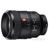 SONY SEL100F28GM