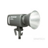 Aputure AMARAN 300c Grey