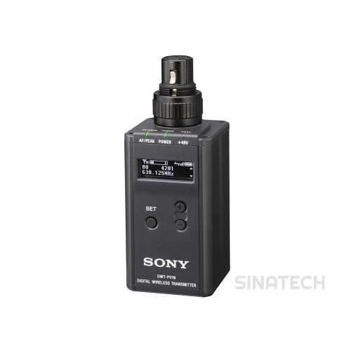 SONY DWT-P01N/33