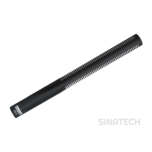 Sanken CS-2