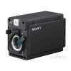 SONY HDC-P50