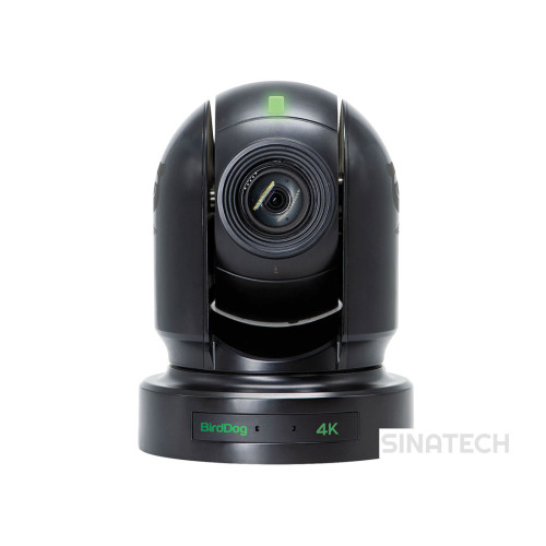 BirdDog P400 Black