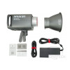 Aputure AMARAN 300c Grey