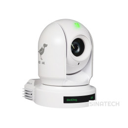 BirdDog P400 White
